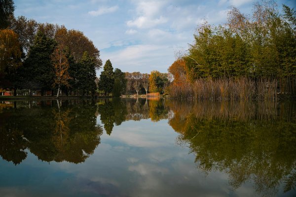 Bien manger après 60 ans : guide pratique