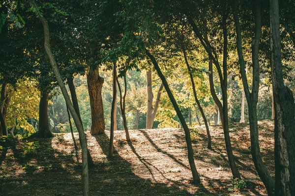 La méditation et le yoga dans la prévention des maladies